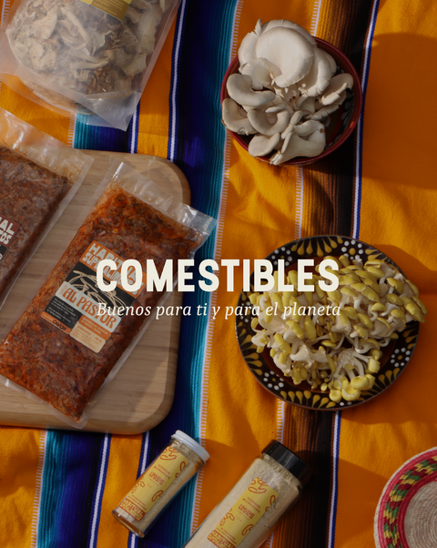Hongos Comestibles