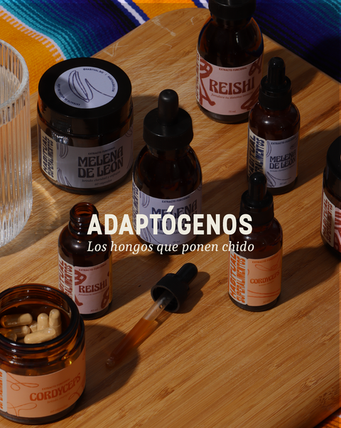Hongos Adaptógenos